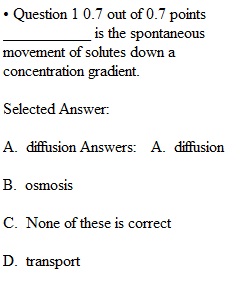 Lab Exam 2